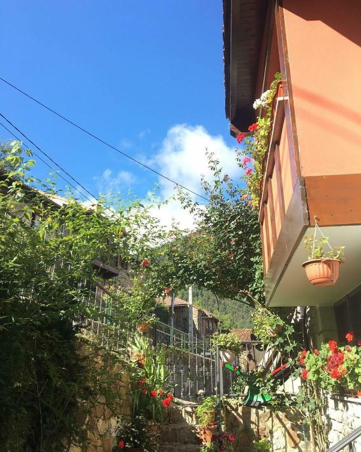 Apartamentos Rurales Los Nogales Косгая Екстериор снимка